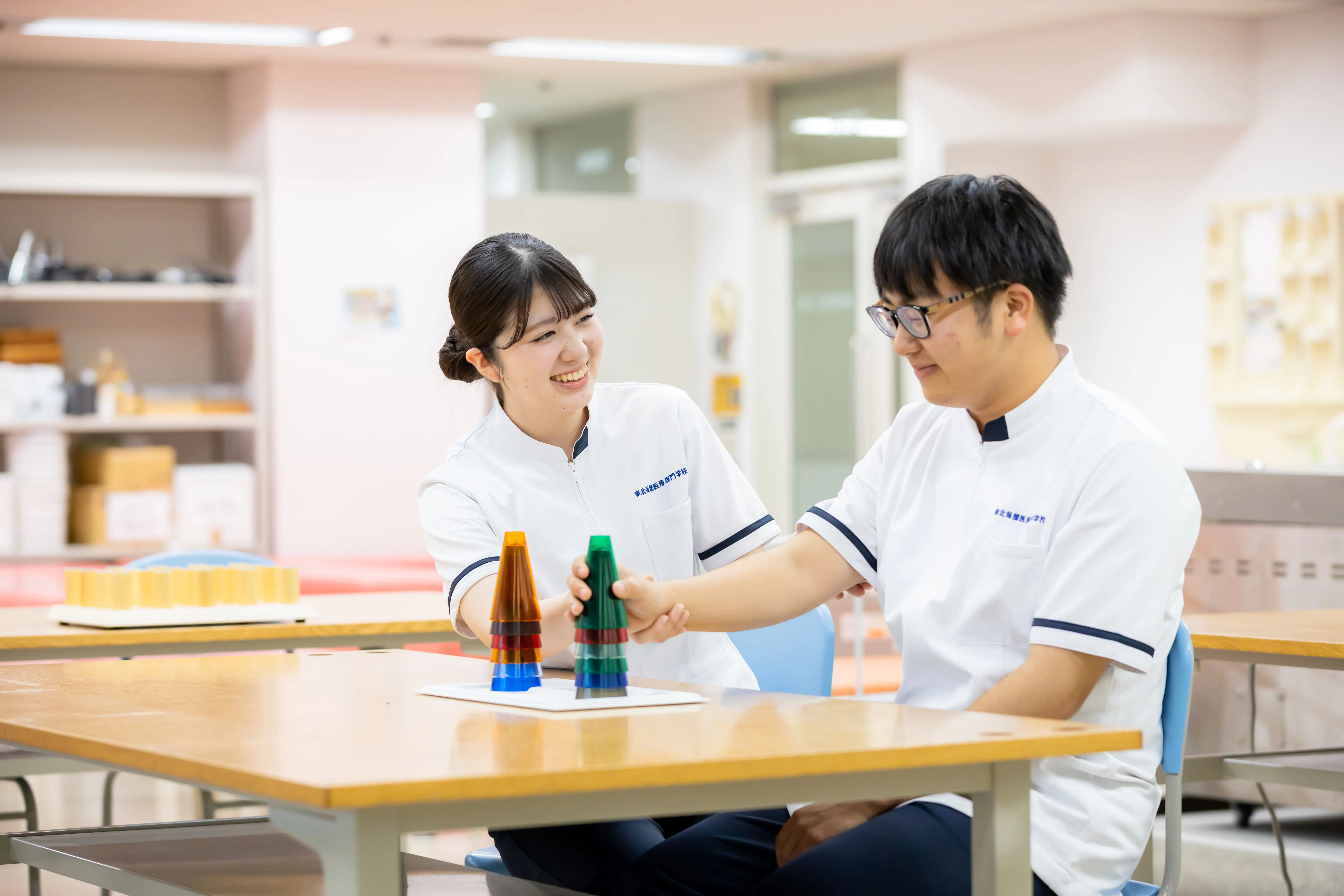 東北 保健 医療 専門 学校