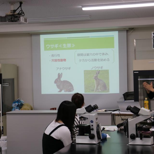 ＹＩＣ京都ペット総合専門学校 うさモル博士になろう！3