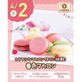 【交通費支給】春色マカロン／札幌スイーツ＆カフェ専門学校