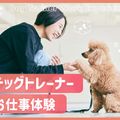 ＴＣＡ東京ＥＣＯ動物海洋専門学校 ドッグトレーナーお仕事体験