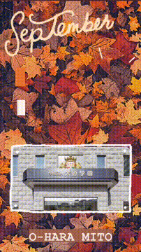 OCカメラサムネイル画像