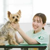 動物の健康を守る！やさしい動物看護体験の詳細