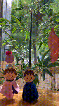 OCカメラサムネイル画像