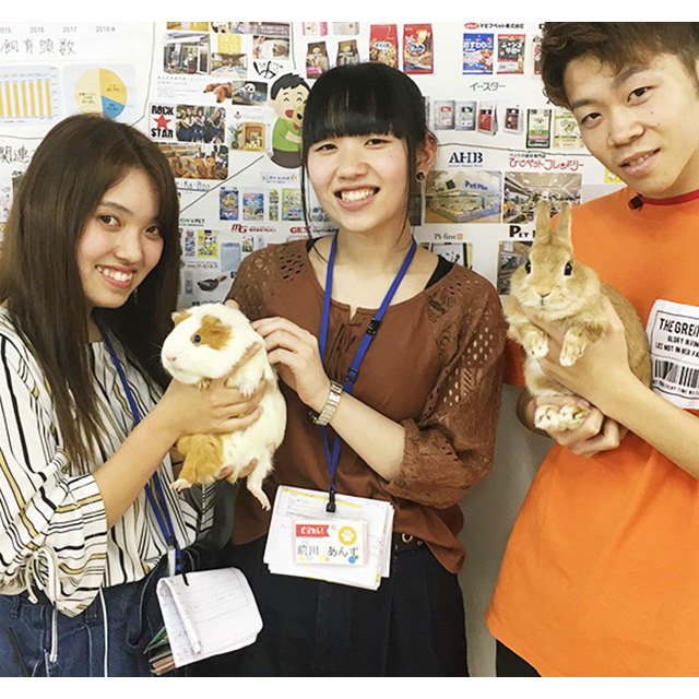大阪ビジネスカレッジ専門学校 ビジカレsmallアニマルズ★もふもふ体験1