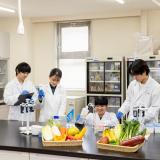 【食品開発・食品加工】安全でおいしい作物づくりを学ぶ！の詳細