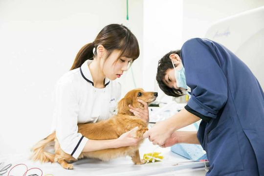 ｔｃａ東京ｅｃｏ動物海洋専門学校の学費情報なら スタディサプリ 進路