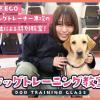 ＴＣＡ東京ＥＣＯ動物海洋専門学校 東京ECOドッグトレーナー専攻の学生による特別教室！