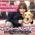 ＴＣＡ東京ＥＣＯ動物海洋専門学校 東京ECOドッグトレーナー専攻の学生による特別教室！