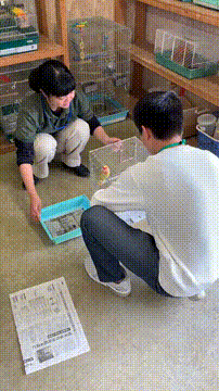 OCカメラサムネイル画像