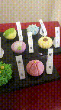 OCカメラサムネイル画像