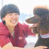 オープンキャンパス　2025年度の詳細