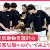 ＴＣＡ東京ＥＣＯ動物海洋専門学校 愛玩動物看護師の国家資験を覗いてみよう