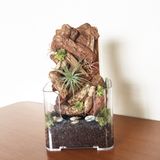 グリーンデザイン実習★エアープランツの立体寄せ植えづくりの詳細