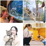 違う分野を2つ体験！ダブル体感オープンカレッジ♪の詳細