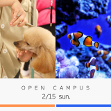 未来の動物のプロフェッショナルへ！オープンキャンパスの詳細
