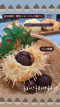 OCカメラサムネイル画像