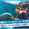 ＴＣＡ東京ＥＣＯ動物海洋専門学校 ～元鴨シートレーナーから学ぶ～鴨川シーワールドの見どころ紹介