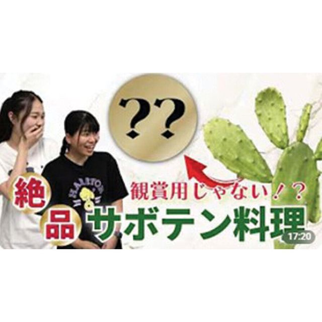 中部大学 【サボテンクッキング！？】未知の料理に学生が挑みます！1