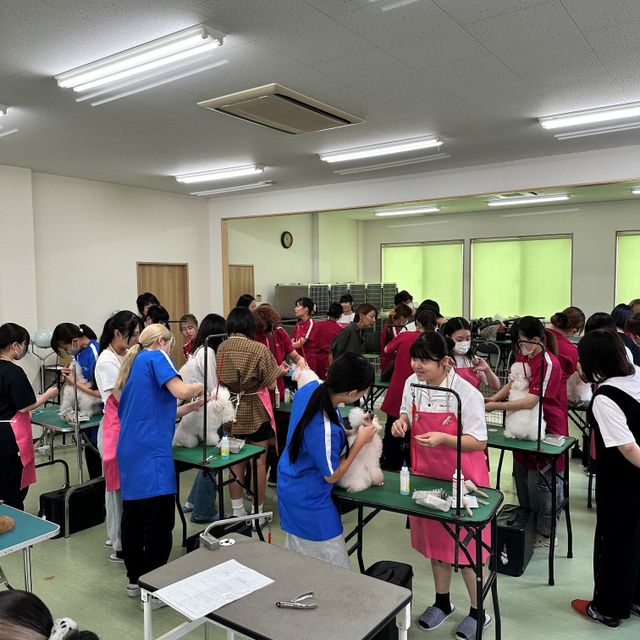 大分ドッググルーミング専門学校 【毎年参加満足度◎】犬のトリミング体験/学校説明★予約受付中2
