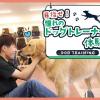 ＴＣＡ東京ＥＣＯ動物海洋専門学校 目指せ！憧れのドッグトレーナー体験