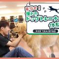 ＴＣＡ東京ＥＣＯ動物海洋専門学校 目指せ！憧れのドッグトレーナー体験