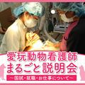 ＴＣＡ東京ＥＣＯ動物海洋専門学校 愛玩動物看護師まるごと説明会～国試・就職・お仕事について～