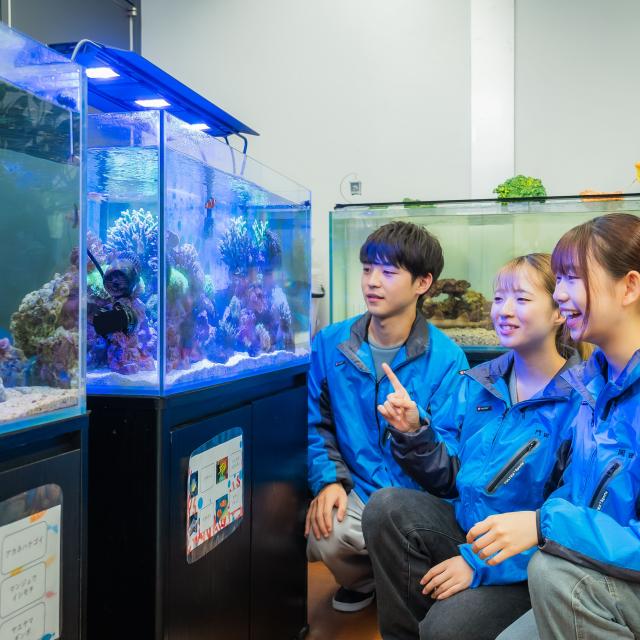 河原アイペットワールド専門学校 家庭犬トレーナー合格率100％達成！ペット総合学科！3