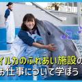 ＴＣＡ東京ＥＣＯ動物海洋専門学校 イルカのふれあい施設のお仕事について学ぼう