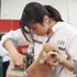 愛知ペット専門学校 トリマーのお仕事体験＆ペットショップ体験1