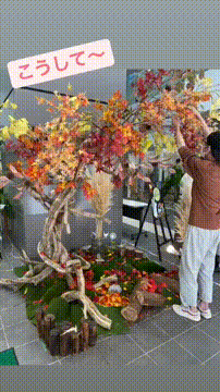 OCカメラサムネイル画像